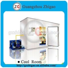 Low temperature freezer room for