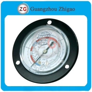 DS-1001 Pressure Gauges