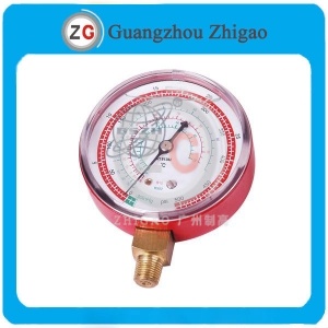 DS2.5 Pressure Gauges