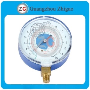 DS3.5 Pressure Gauges
