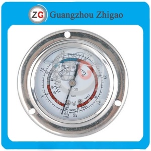 DS-1003 Pressure Gauges
