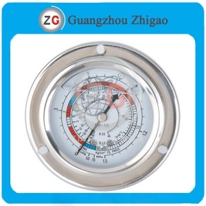 DS-1004 Pressure Gauges