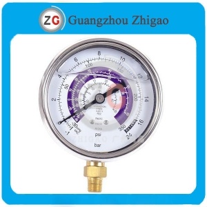 DS3.5 Pressure Gauges